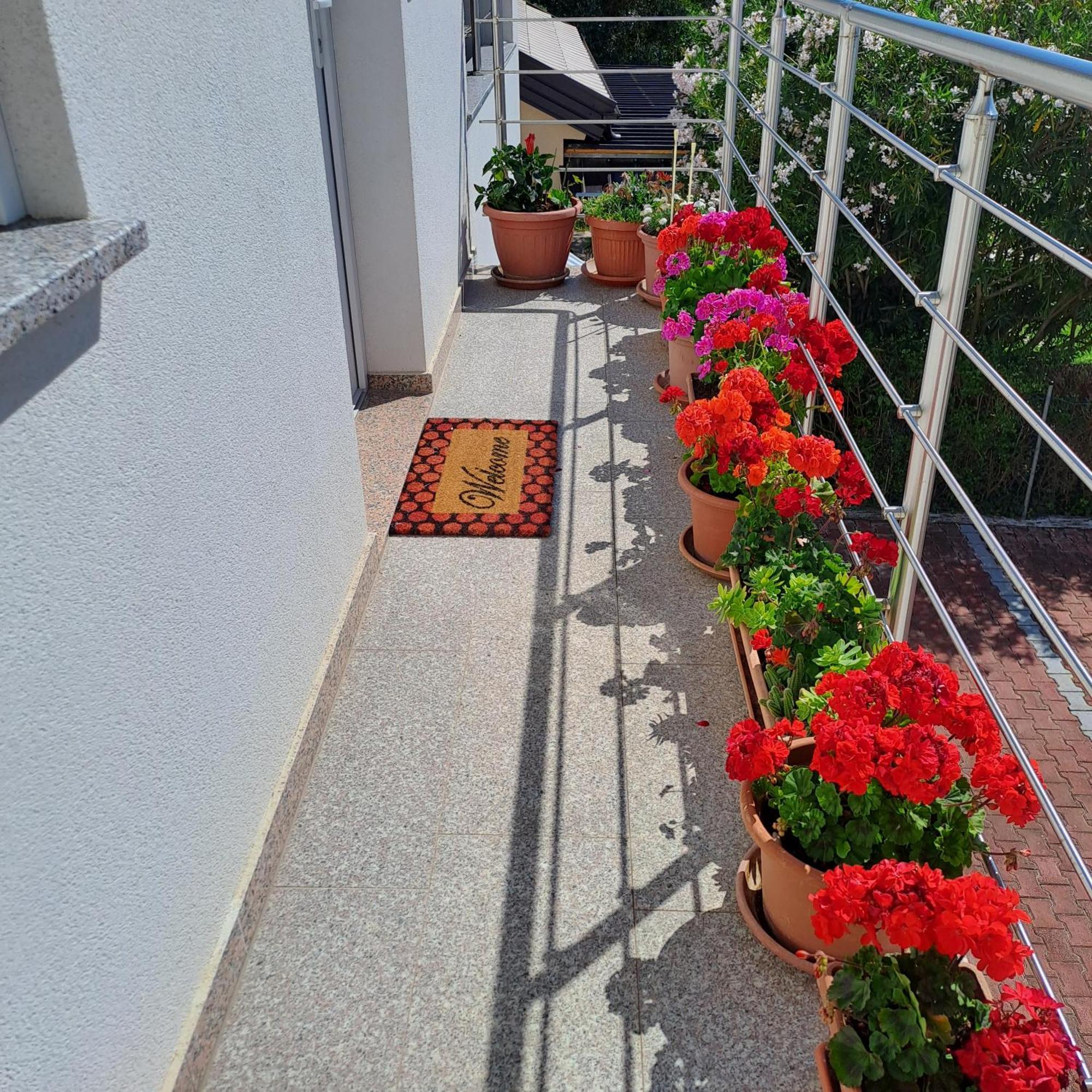 Apartmani Mila-Casa Bianca Medulin Quarto foto